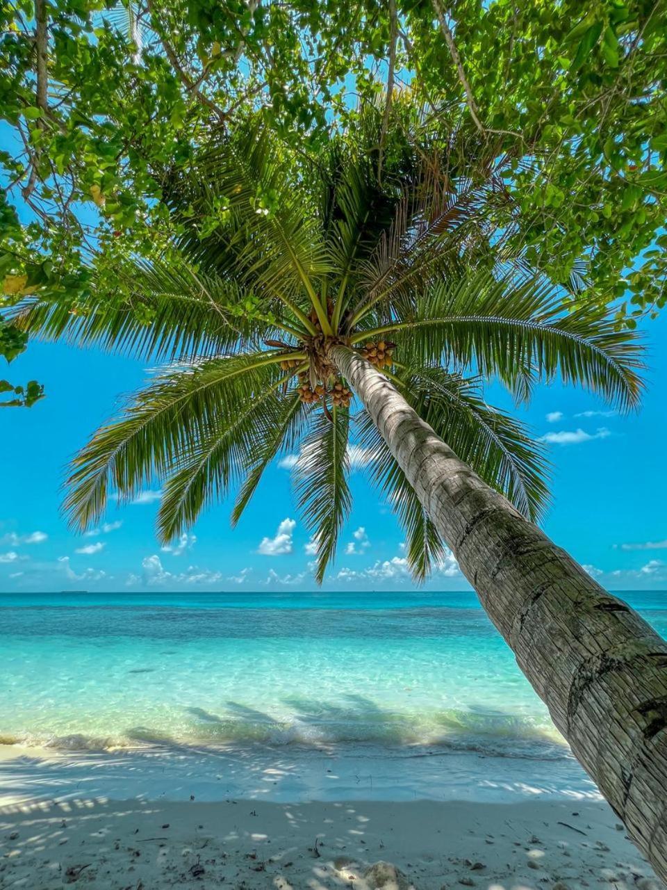 Infinite Lagoon Mandhoo Exterior foto